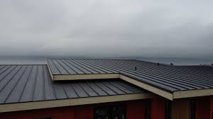 Best Emergency Roof Repair  in Verdi, NV